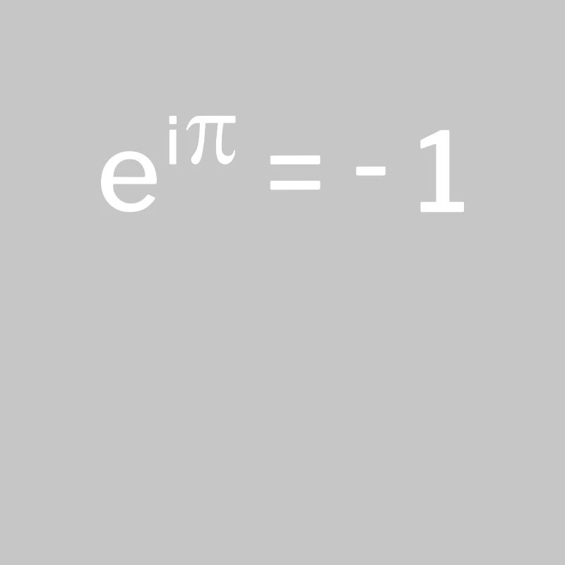 e^i pi + = -1 - Eulersche Identität Geschenkidee