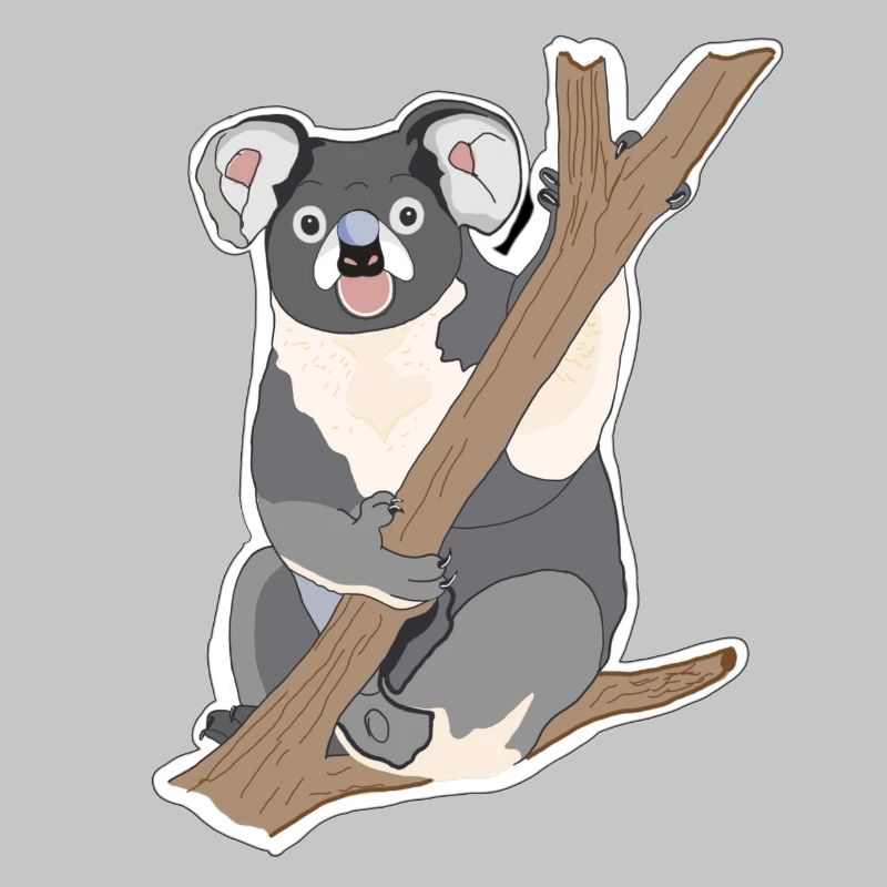 Koala Koalabär