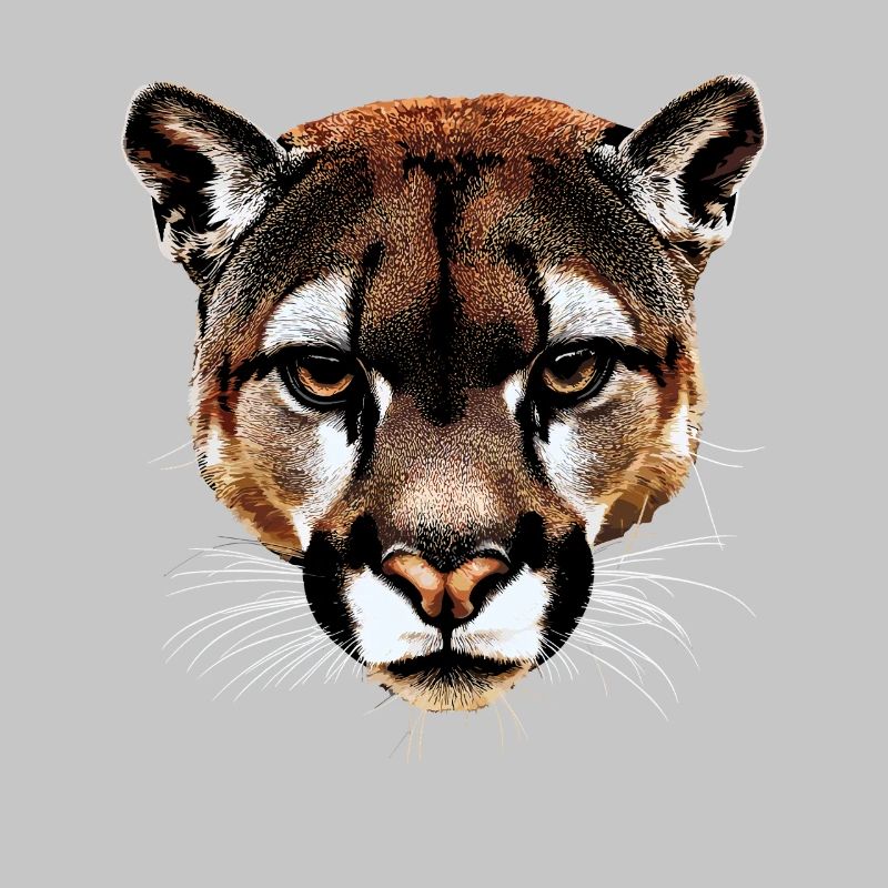 Panther Leopard Big Cat Cute Big Cat Cats