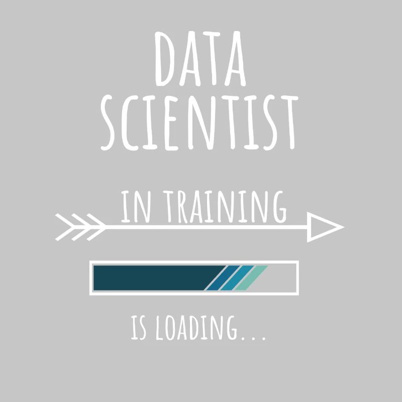 Data Scientist Gift Profession Education