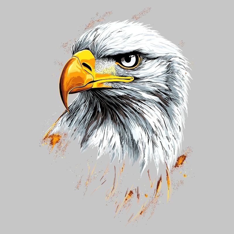 Aigle Pygargue à tête blanche Aigle royal Pygargue à queue blanche