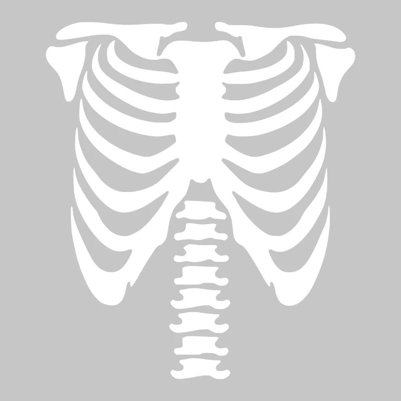 Skelett-Torso