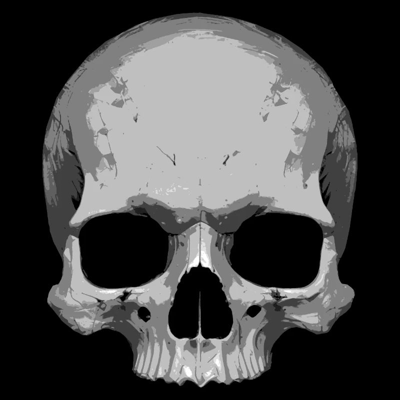 Skull Illustration