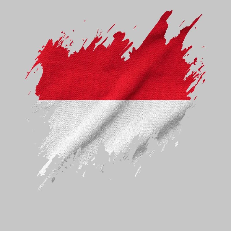 Drapeau indonésien, style déchiré
