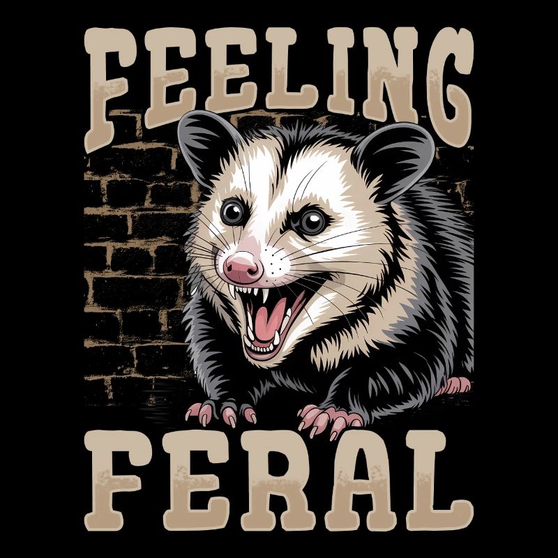 Funny Opossum