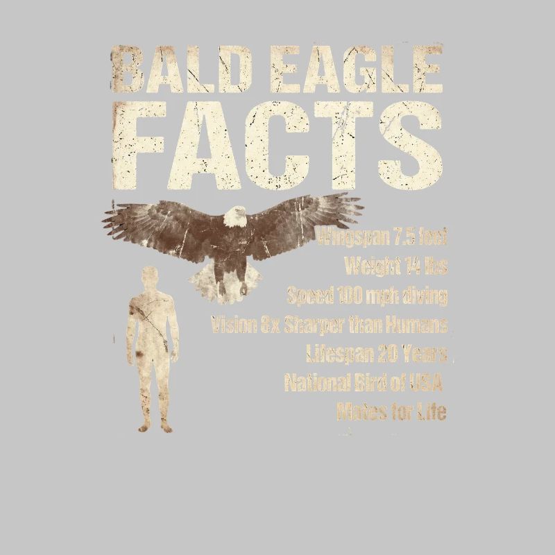 Bald Eagle Facts Bald Eagle Info