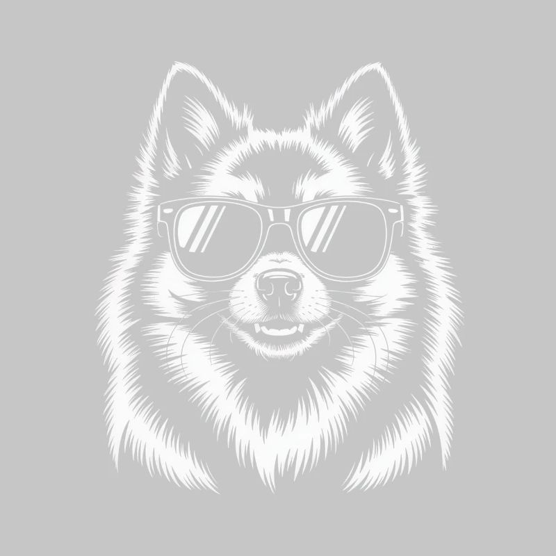 Poméranienne chien spitz blanche