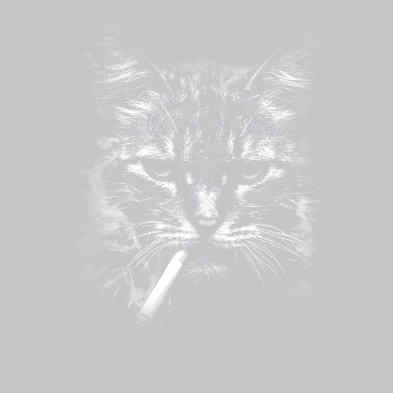 Rauchen, Zigarette, Katze raucht eine Zigarette