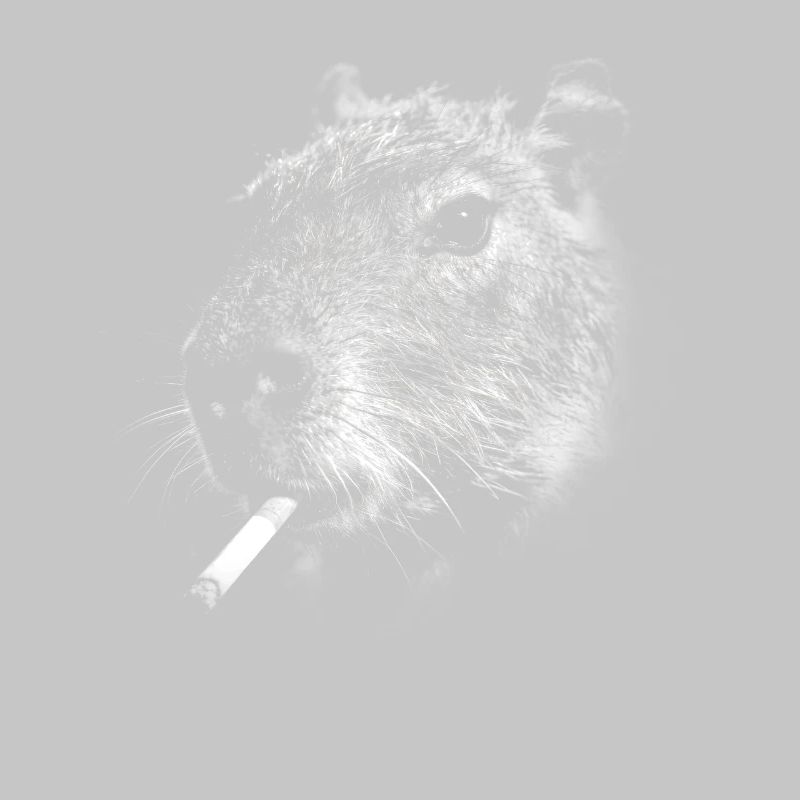 Fumer, cigarette, capybara, fumer une cigarette