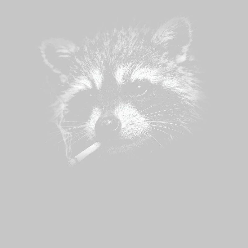 Rauchen, Zigarette, Waschbär raucht eine Zigarette