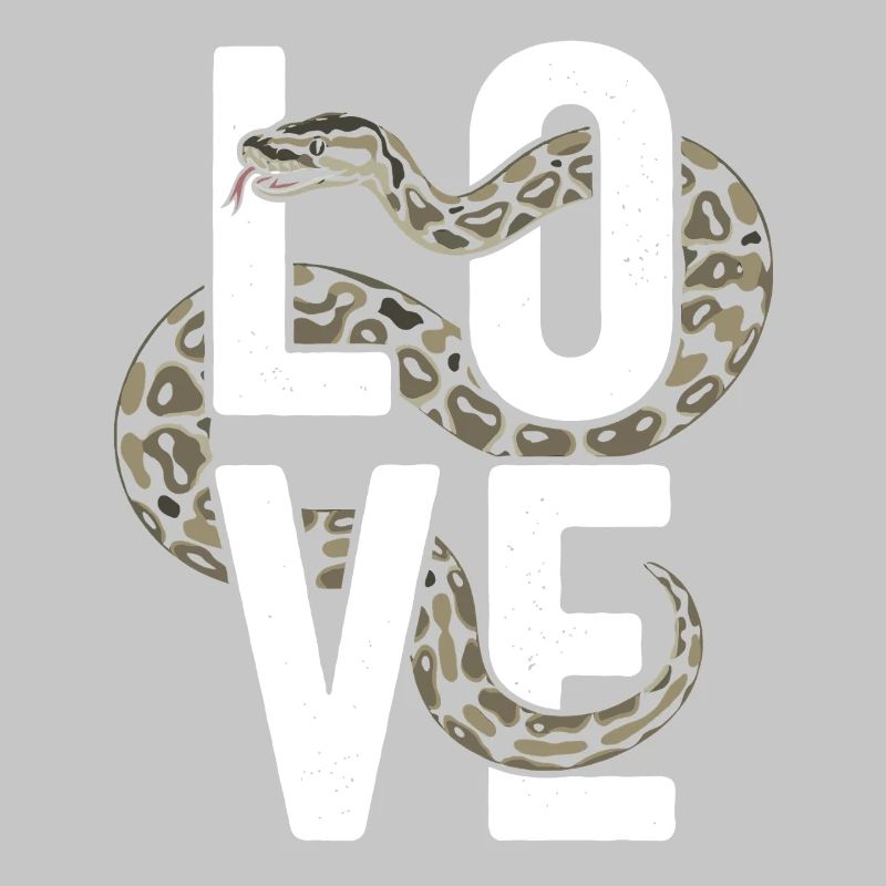 Les serpents rois Python ADORENT les pythons de terrarium