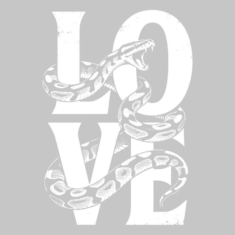 Les serpents rois Python ADORENT les pythons de terrarium