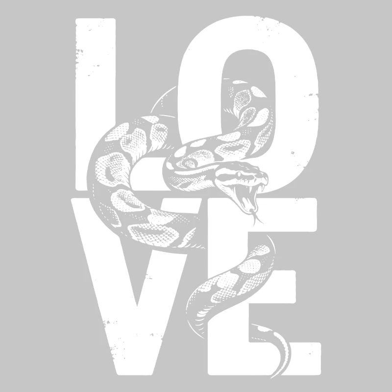 Königspython Schlangen LOVE Terrarium Python