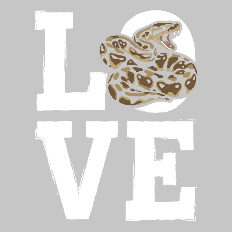 Les serpents rois Python ADORENT les pythons de terrarium