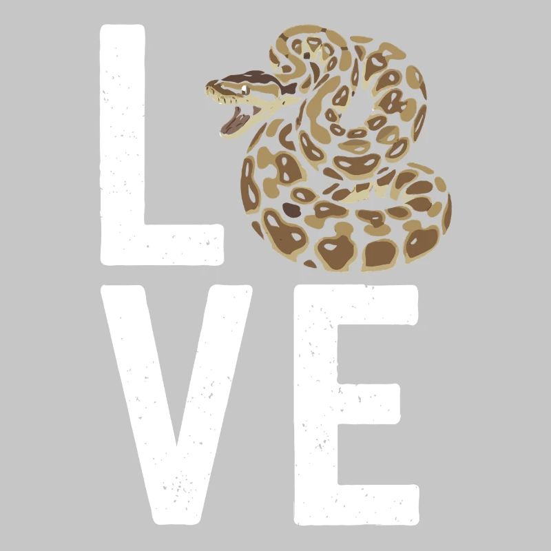 Les serpents rois Python ADORENT les pythons de terrarium