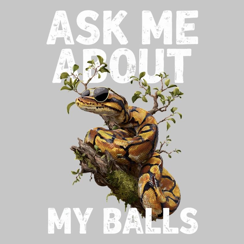 Königspython Schlangen Liebhaber Terrarium Python