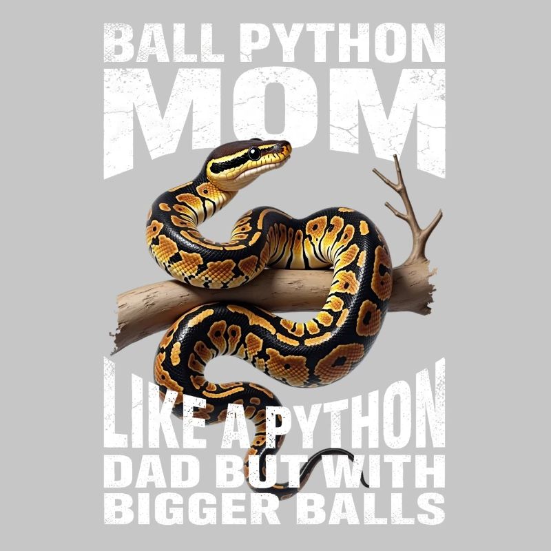 Königspython Mom Mama Schlangen Terrarium Python