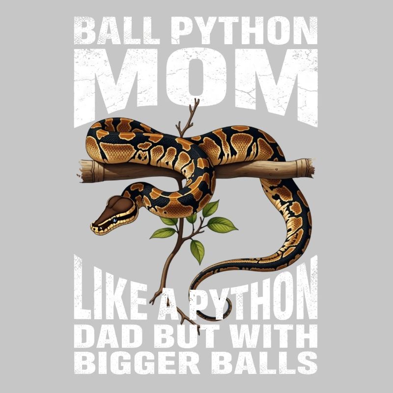 Königspython Mom Mama Schlangen Terrarium Python