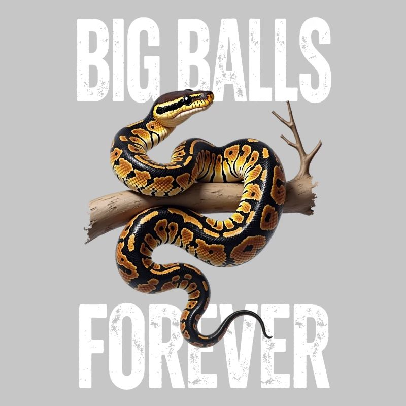 King Python Snakes Lover Terrarium Python