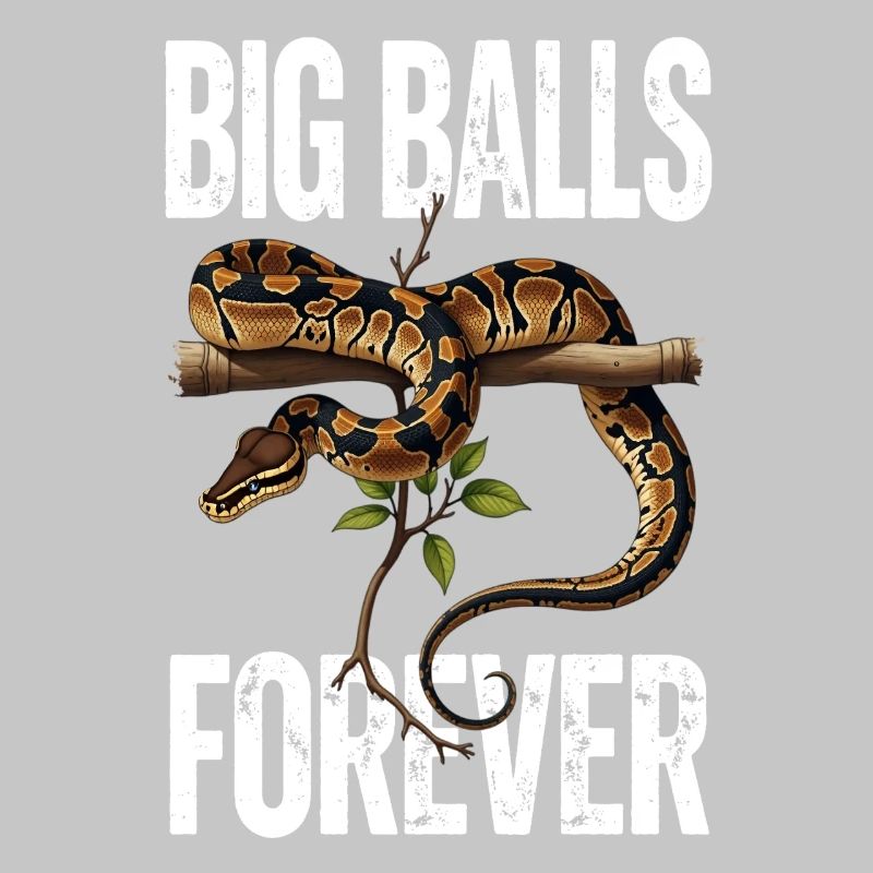 King Python Snakes Lover Terrarium Python