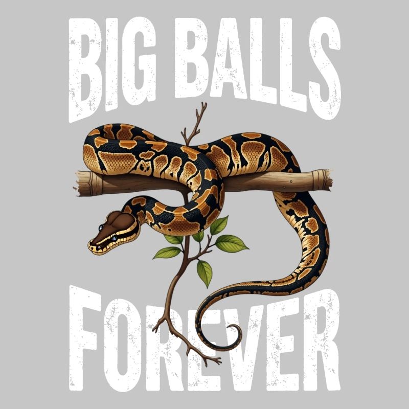 King Python Snakes Lover Terrarium Python