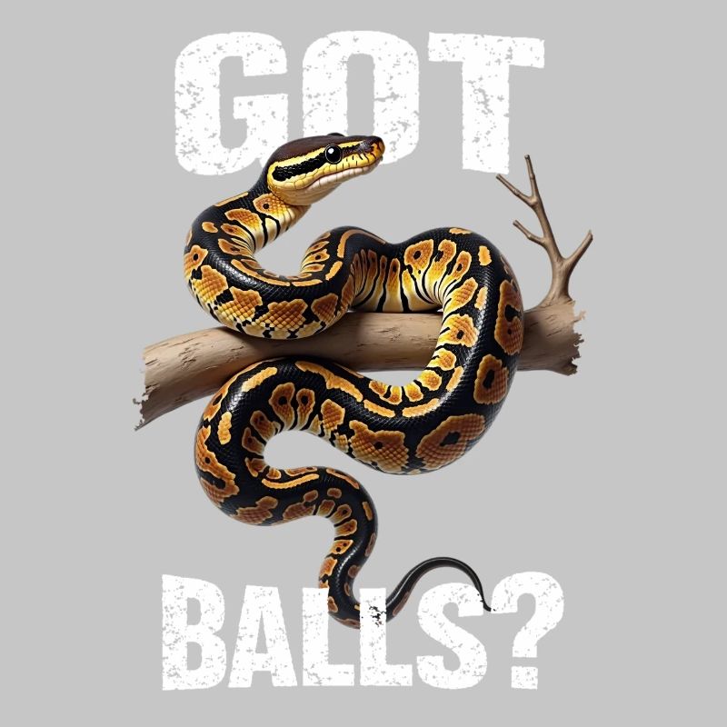 King Python Snakes Lover Terrarium Python