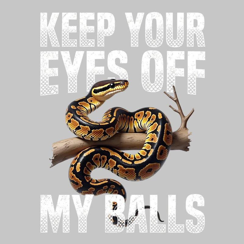 Königspython Schlangen Liebhaber Terrarium Python