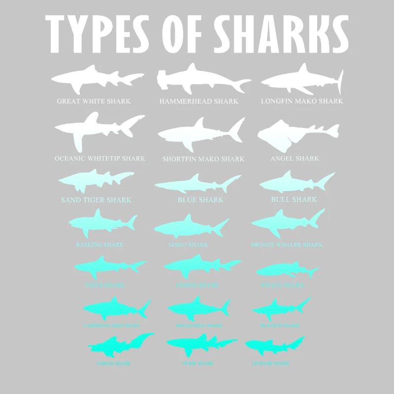 Types de requins Conception des requins d’océan | Chemise de requin