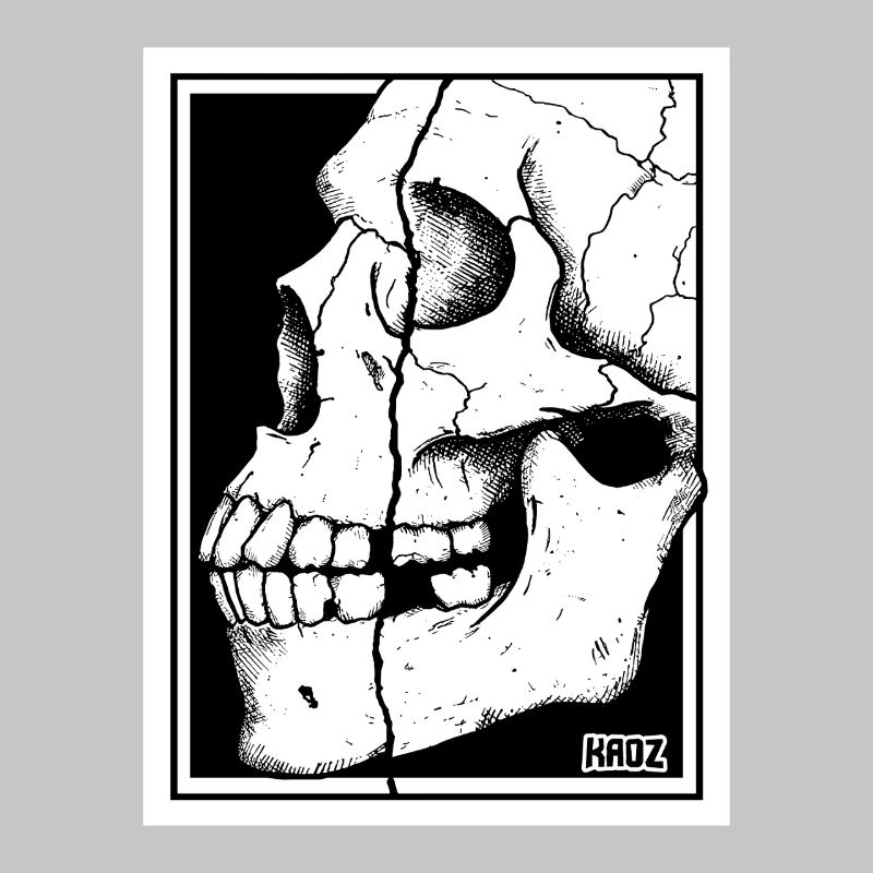 Broken Skull Portrait