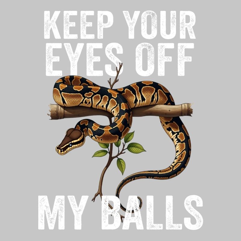 Königspython Schlangen Liebhaber Terrarium Python