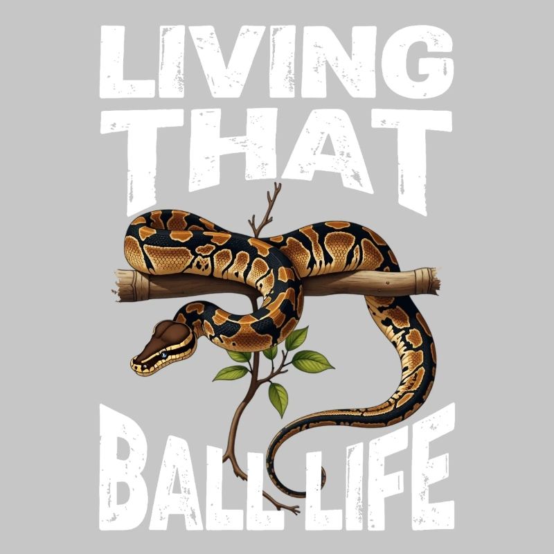 Königspython Schlangen Liebhaber Terrarium Python