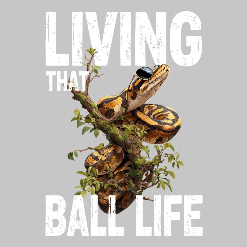 Python roi Serpents Amateurs de terrarium Python