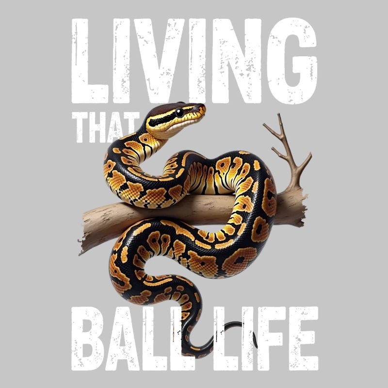 Python roi Serpents Amateurs de terrarium Python