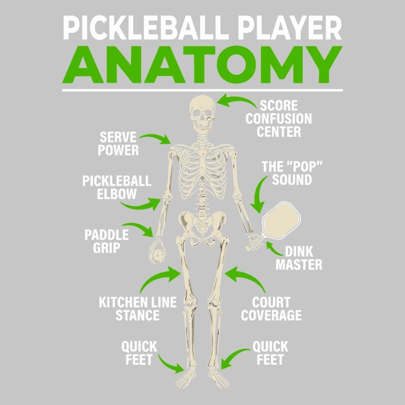 Illustration anatomique du pickleball Davinci