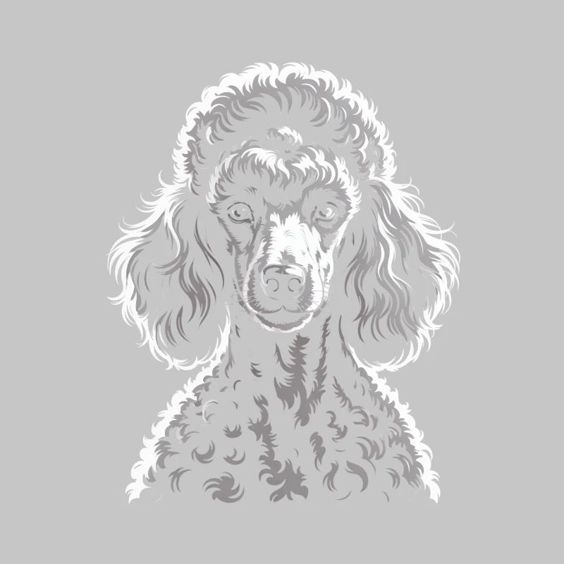 Caniche