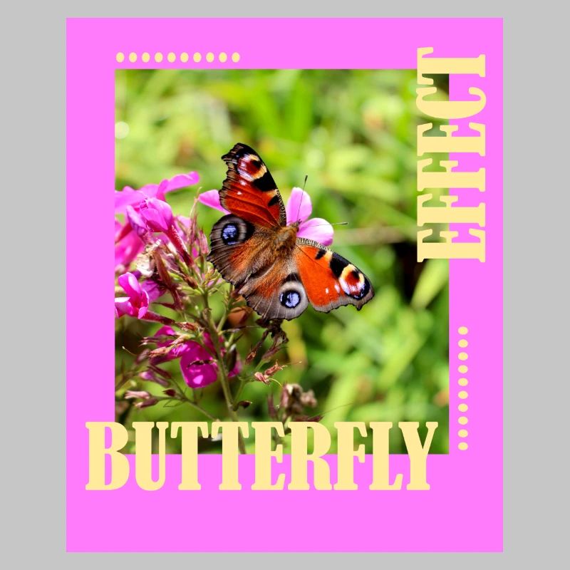 Conception de photos à effet papillon