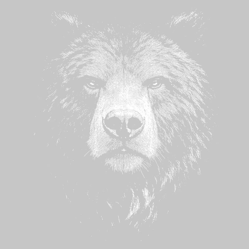 Bär