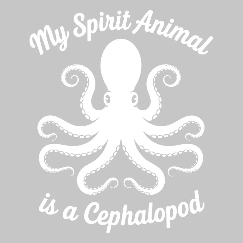 Conception des céphalopodes