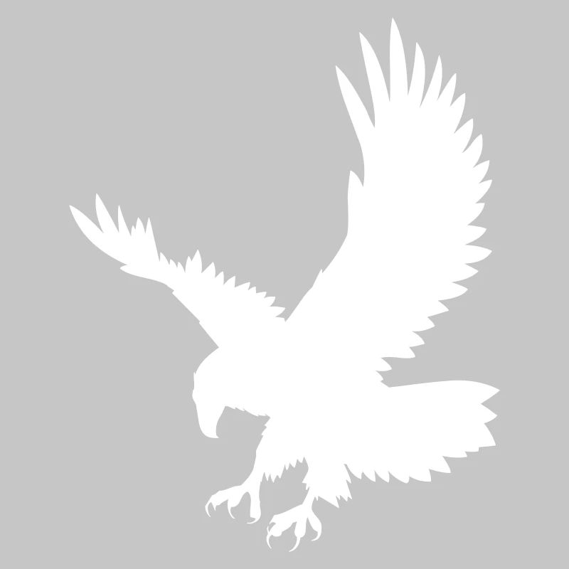 An eagle chasing its prey