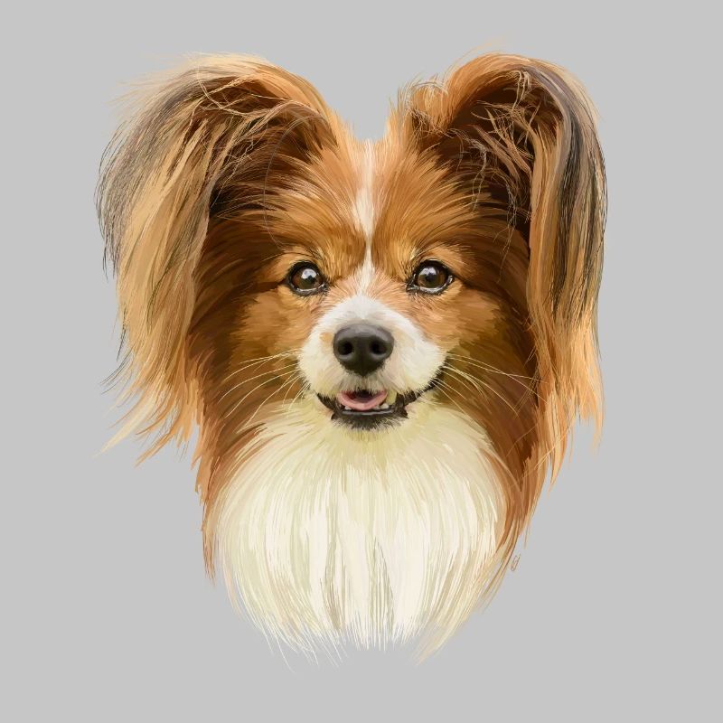 Papillon