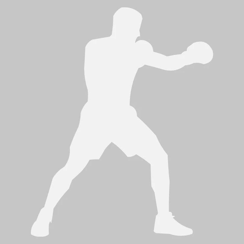 Boost de puissance de la Boxsilhouette