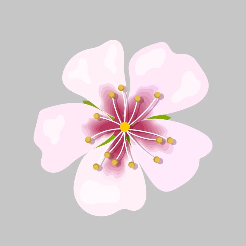 Blüte