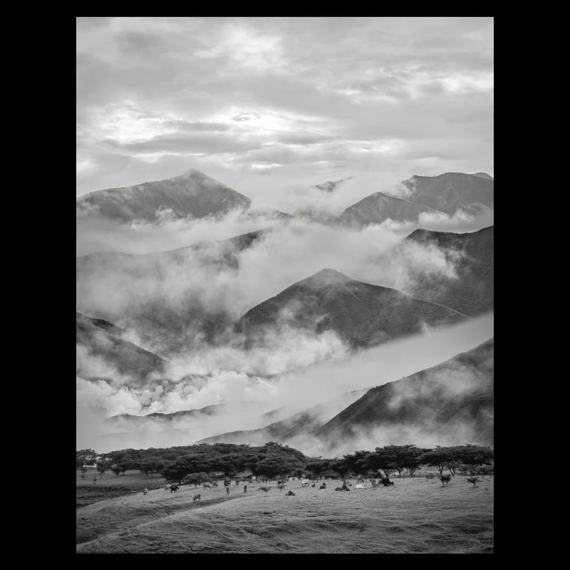 Montagnes dans un brouillard noir et blanc