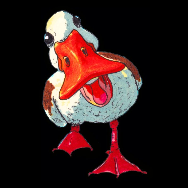 Canard