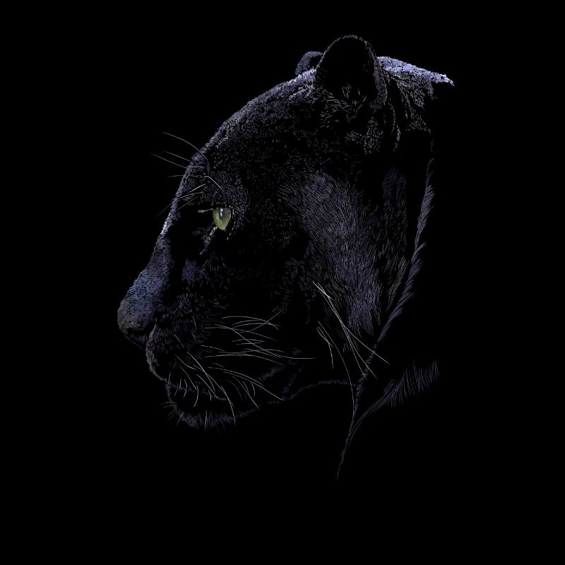 Panther
