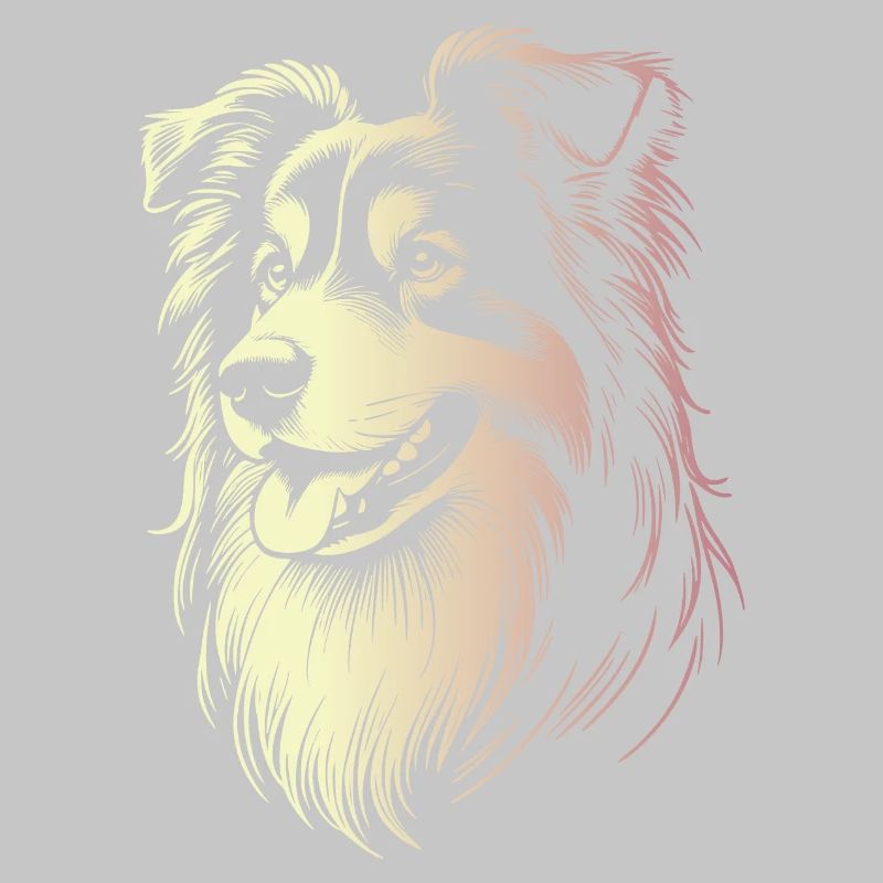 Australian Shepherd Traits 2 Gradient