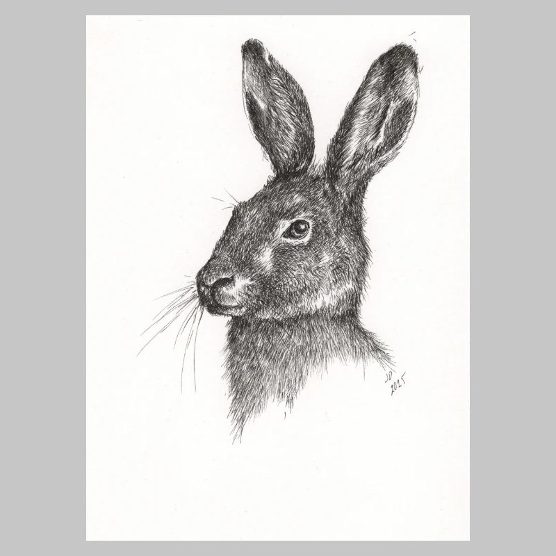 Not just another Rabbit