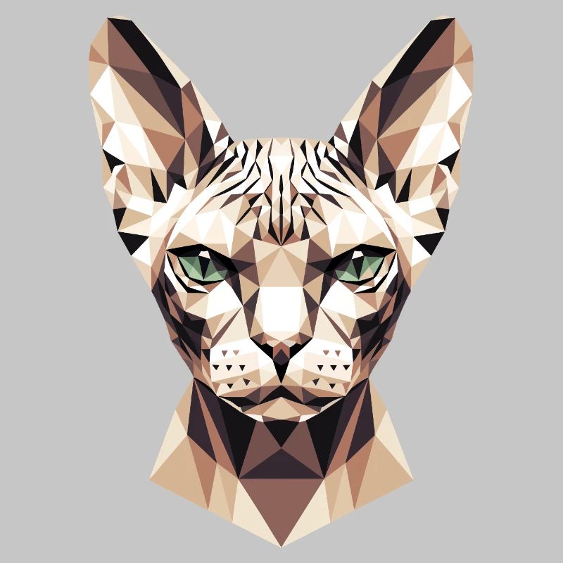 Sphynx Chat Sphynx Chat Chat Canadien Sphinx mignon
