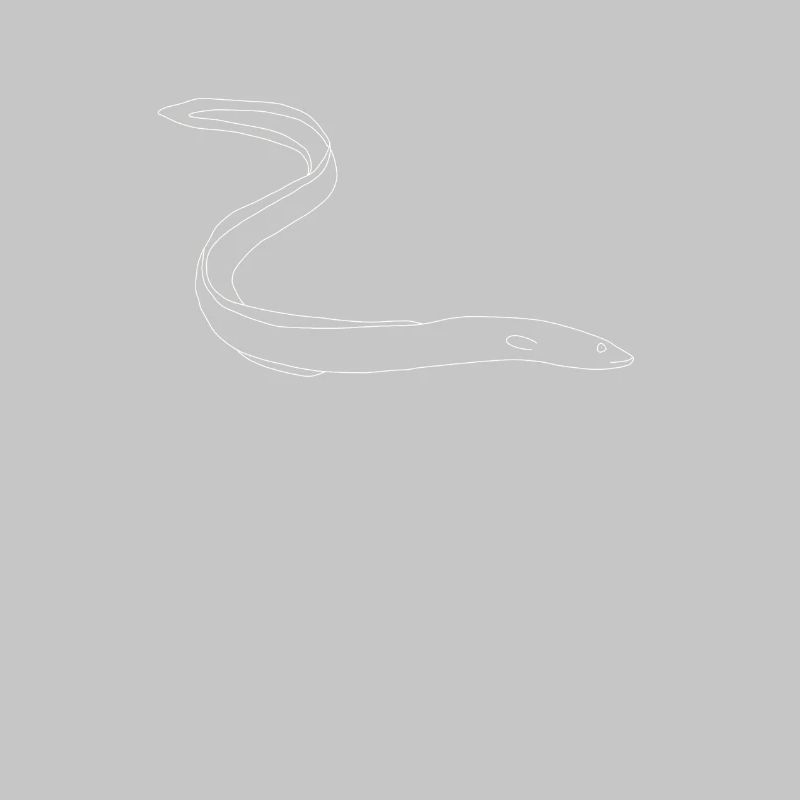 Aal
