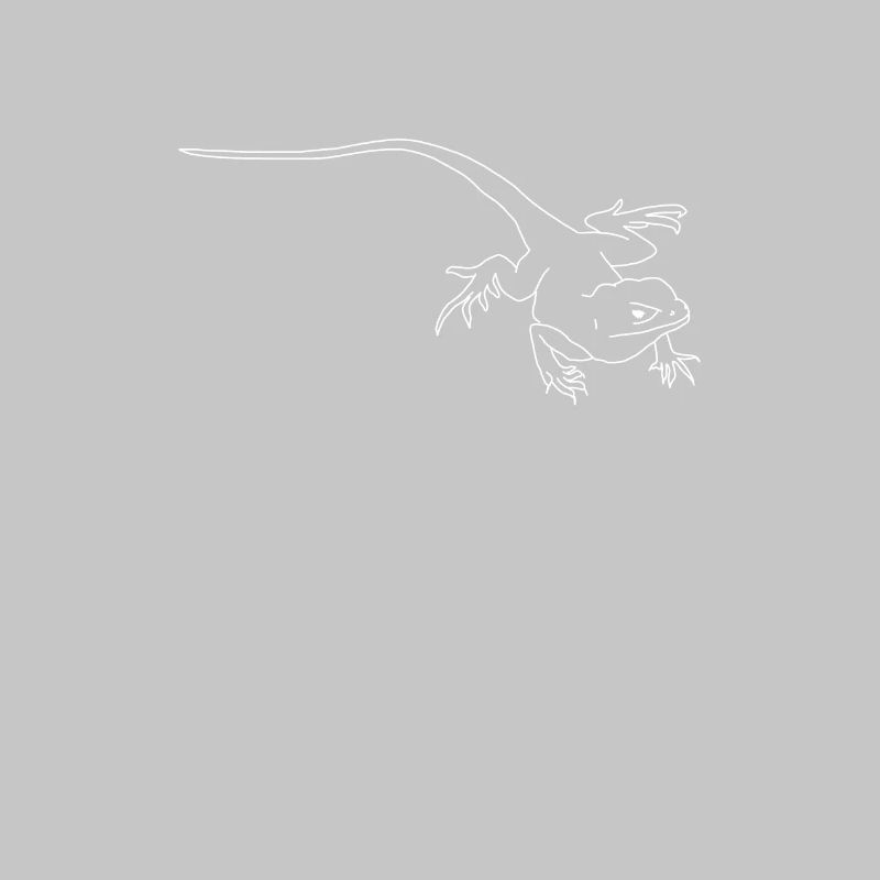 lizard